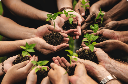 Sustainability Club
